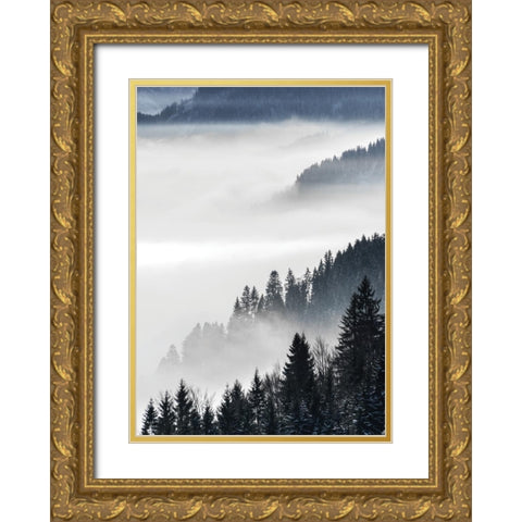 Misty Mountains Gold Ornate Wood Framed Art Print with Double Matting by Braun Studio