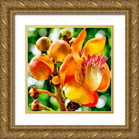 Bud in Bloom Gold Ornate Wood Framed Art Print with Double Matting by Medeiros, Celito