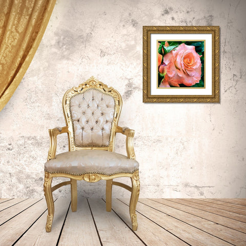 Big Rose Gold Ornate Wood Framed Art Print with Double Matting by Medeiros, Celito