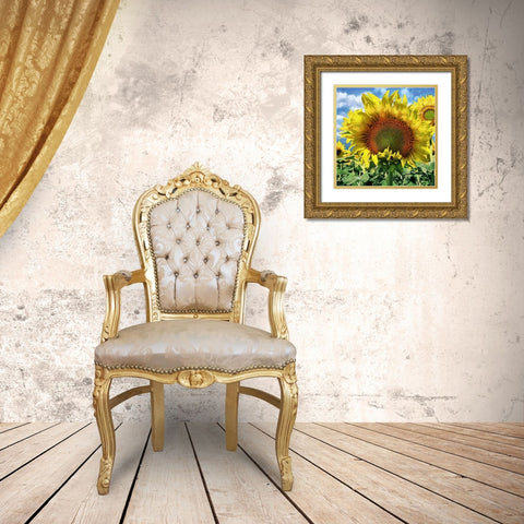 Sunflower Gold Ornate Wood Framed Art Print with Double Matting by Medeiros, Celito