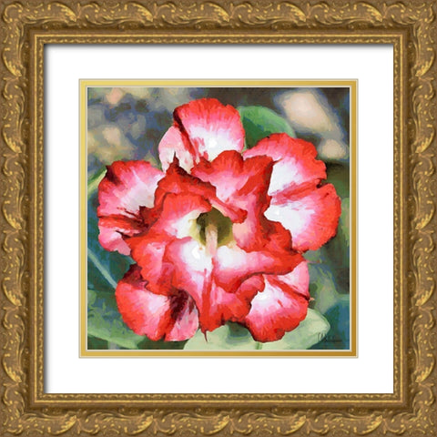 Orchids II Gold Ornate Wood Framed Art Print with Double Matting by Medeiros, Celito