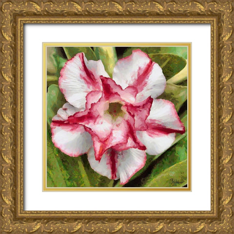 Orchids III Gold Ornate Wood Framed Art Print with Double Matting by Medeiros, Celito
