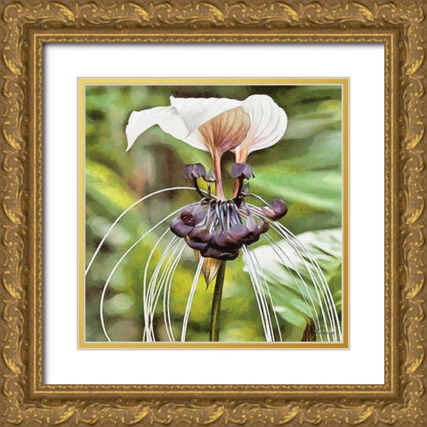 Orchids VII Gold Ornate Wood Framed Art Print with Double Matting by Medeiros, Celito