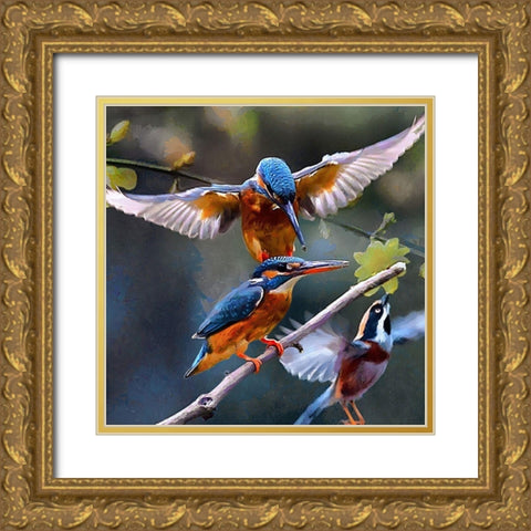 Three Kingfishers Gold Ornate Wood Framed Art Print with Double Matting by Medeiros, Celito