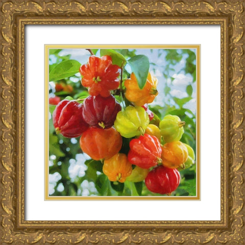 Exotic Fruit Gold Ornate Wood Framed Art Print with Double Matting by Medeiros, Celito