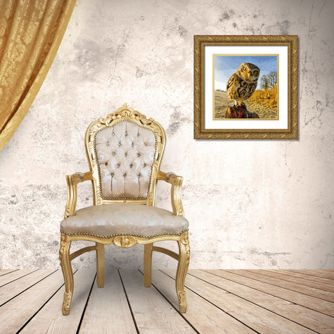 Owl in Winter Gold Ornate Wood Framed Art Print with Double Matting by Medeiros, Celito