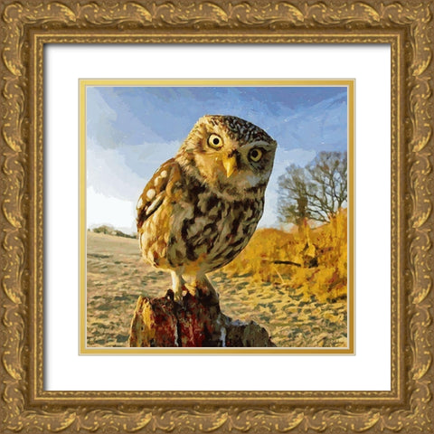 Owl in Winter Gold Ornate Wood Framed Art Print with Double Matting by Medeiros, Celito