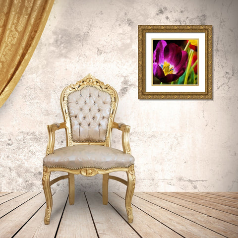Purple Tulips Gold Ornate Wood Framed Art Print with Double Matting by Medeiros, Celito