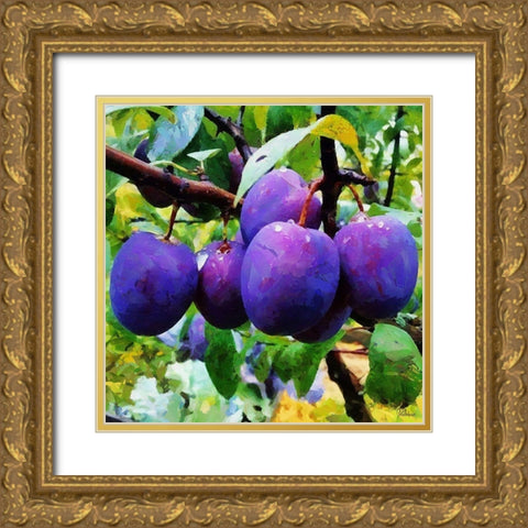 Ripe Plums Gold Ornate Wood Framed Art Print with Double Matting by Medeiros, Celito
