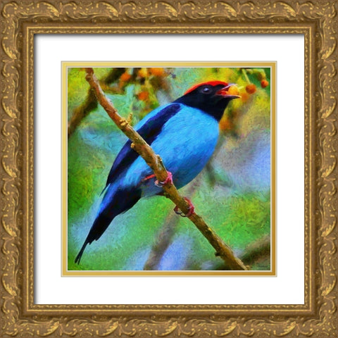 Blue Bird sing a Song Gold Ornate Wood Framed Art Print with Double Matting by Medeiros, Celito