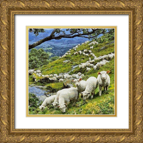 Sheeps on New Zealand Gold Ornate Wood Framed Art Print with Double Matting by Medeiros, Celito