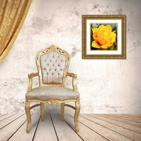 Spring Floral Variations VIII Gold Ornate Wood Framed Art Print with Double Matting by Medeiros, Celito