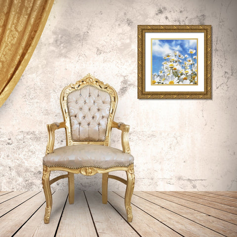 Daisies Gold Ornate Wood Framed Art Print with Double Matting by Medeiros, Celito