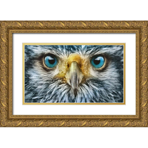 Owls Eyes II Gold Ornate Wood Framed Art Print with Double Matting by Medeiros, Celito