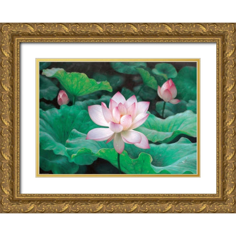 Water Lilly Gold Ornate Wood Framed Art Print with Double Matting by Chen Wu