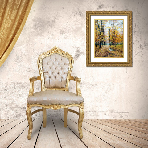 When Autumn plays with you Gold Ornate Wood Framed Art Print with Double Matting by Cernov, Ivan