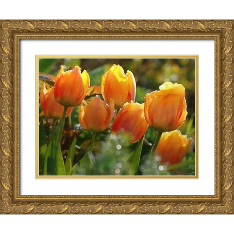 7 Orange Tulips Gold Ornate Wood Framed Art Print with Double Matting by Medeiros, Celito
