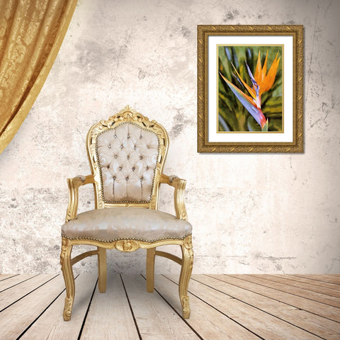 Beautiful Orchid I Gold Ornate Wood Framed Art Print with Double Matting by Medeiros, Celito