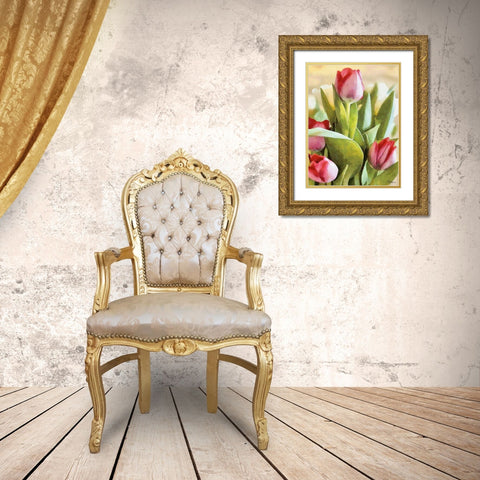 Just Tulips V Gold Ornate Wood Framed Art Print with Double Matting by Medeiros, Celito