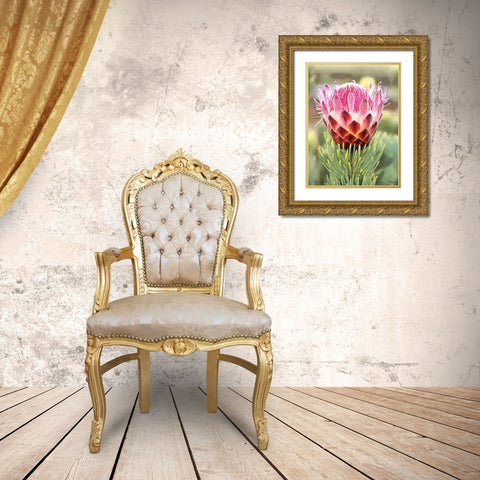 Pink Flower I Gold Ornate Wood Framed Art Print with Double Matting by Medeiros, Celito