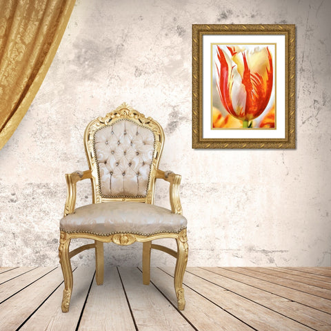 Tulip in White and Orange Colors II Gold Ornate Wood Framed Art Print with Double Matting by Medeiros, Celito