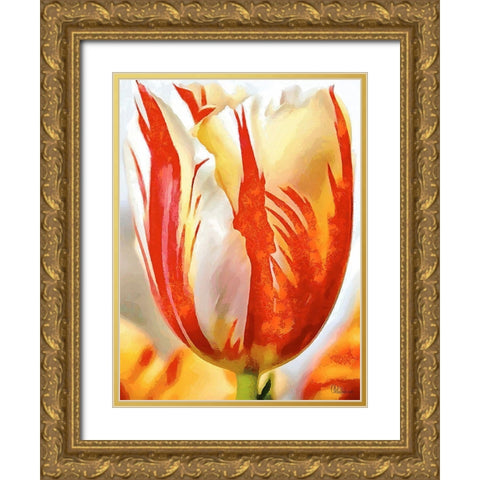Tulip in White and Orange Colors II Gold Ornate Wood Framed Art Print with Double Matting by Medeiros, Celito