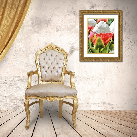 Tulip in White and Red Colors Gold Ornate Wood Framed Art Print with Double Matting by Medeiros, Celito