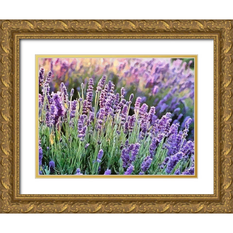 Lavender Field VII Gold Ornate Wood Framed Art Print with Double Matting by Medeiros, Celito