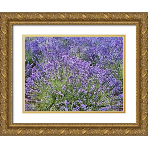 Lavender Field VIII Gold Ornate Wood Framed Art Print with Double Matting by Medeiros, Celito
