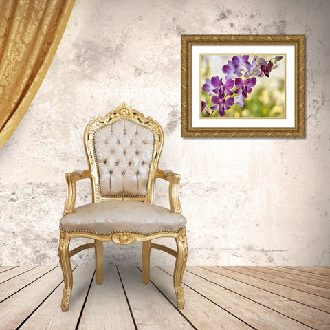 Orchids XII Gold Ornate Wood Framed Art Print with Double Matting by Medeiros, Celito