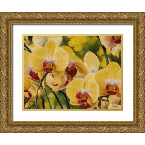 Orchids XIII Gold Ornate Wood Framed Art Print with Double Matting by Medeiros, Celito