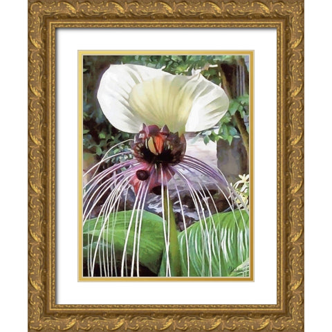 Orchids XVII Gold Ornate Wood Framed Art Print with Double Matting by Medeiros, Celito