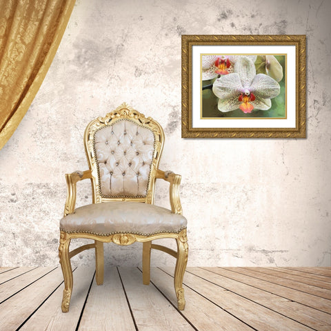 Orchids XXII Gold Ornate Wood Framed Art Print with Double Matting by Medeiros, Celito