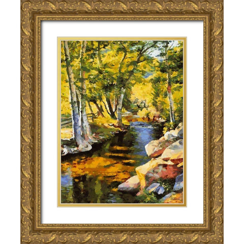 Creek with Rocks Gold Ornate Wood Framed Art Print with Double Matting by Medeiros, Celito