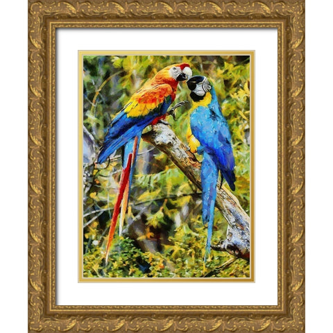 Two Fighting Parrots Gold Ornate Wood Framed Art Print with Double Matting by Medeiros, Celito