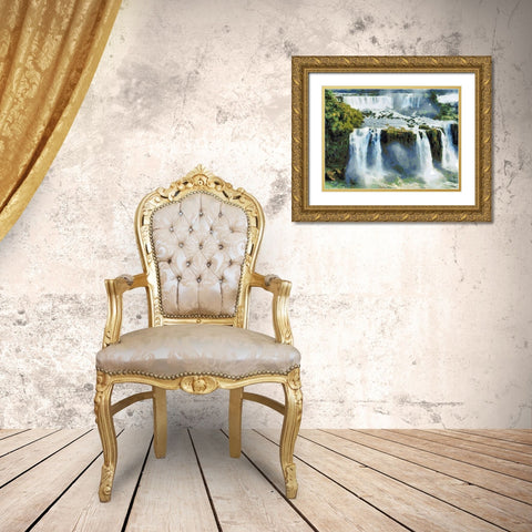 Iguazu Waterfalls IV Gold Ornate Wood Framed Art Print with Double Matting by Medeiros, Celito