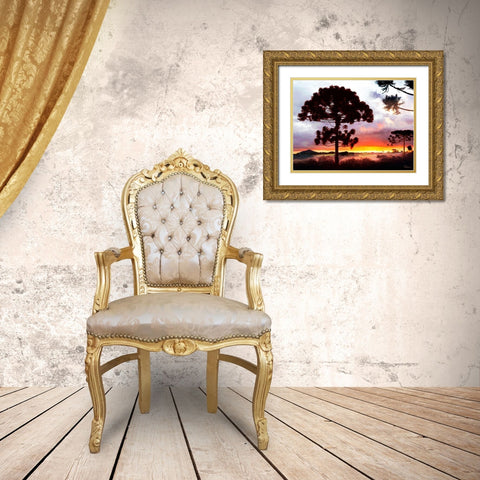 Sunset in Africa Gold Ornate Wood Framed Art Print with Double Matting by Medeiros, Celito