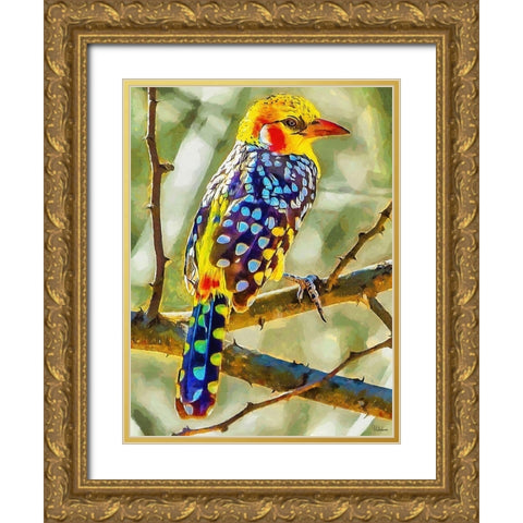 Nice colorful Bird Gold Ornate Wood Framed Art Print with Double Matting by Medeiros, Celito
