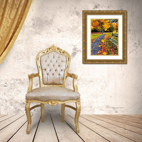 Path in the Park in Autumn Gold Ornate Wood Framed Art Print with Double Matting by Medeiros, Celito