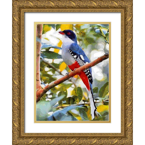 Red and Blue Colored Bird Gold Ornate Wood Framed Art Print with Double Matting by Medeiros, Celito