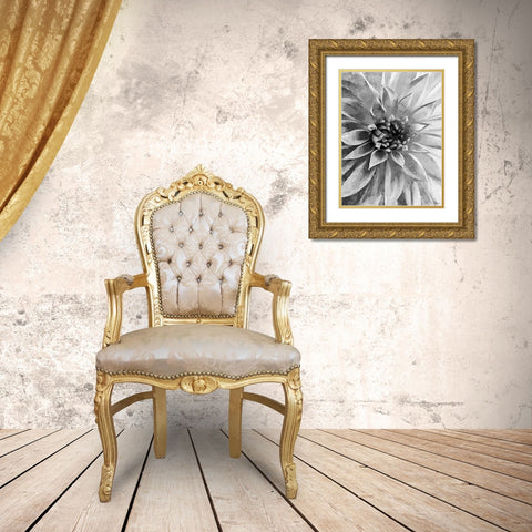 Leaves BW12 Gold Ornate Wood Framed Art Print with Double Matting by Medeiros, Celito