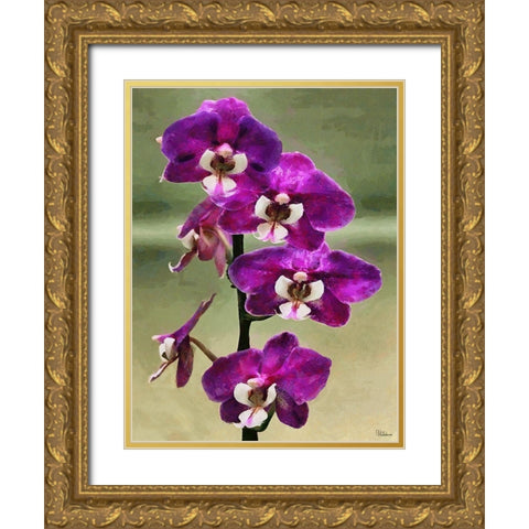 Purple Orchid Gold Ornate Wood Framed Art Print with Double Matting by Medeiros, Celito