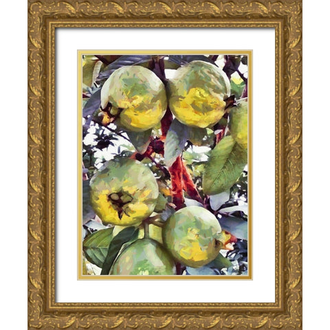 Passion Fruit Gold Ornate Wood Framed Art Print with Double Matting by Medeiros, Celito