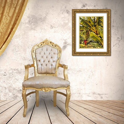 Banana Tree I Gold Ornate Wood Framed Art Print with Double Matting by Medeiros, Celito