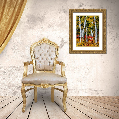 Birch Variation III Gold Ornate Wood Framed Art Print with Double Matting by Medeiros, Celito