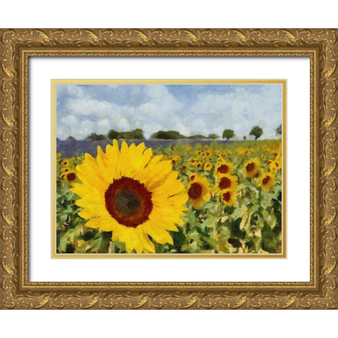 Sunflower Field Gold Ornate Wood Framed Art Print with Double Matting by Medeiros, Celito