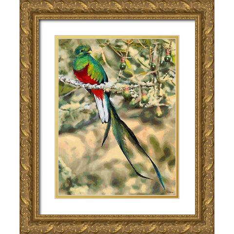 Green Bird with long Feathers Gold Ornate Wood Framed Art Print with Double Matting by Medeiros, Celito