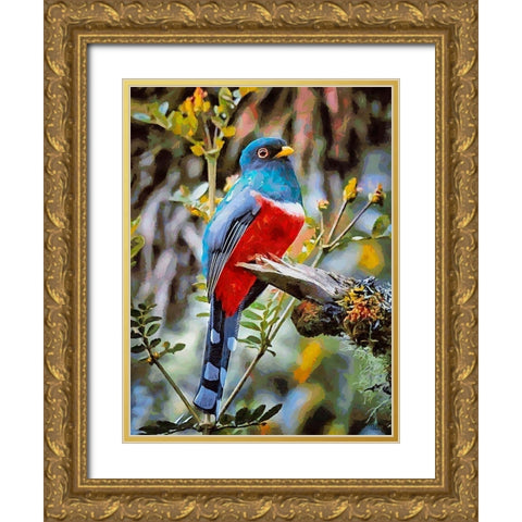 Bird with Blue Feathers Gold Ornate Wood Framed Art Print with Double Matting by Medeiros, Celito