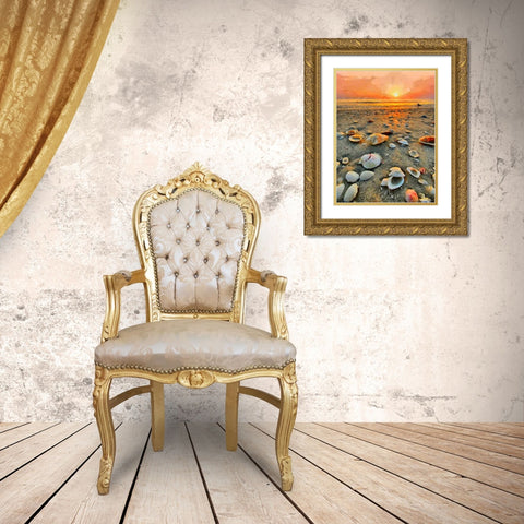 Shells on the Beach Gold Ornate Wood Framed Art Print with Double Matting by Medeiros, Celito