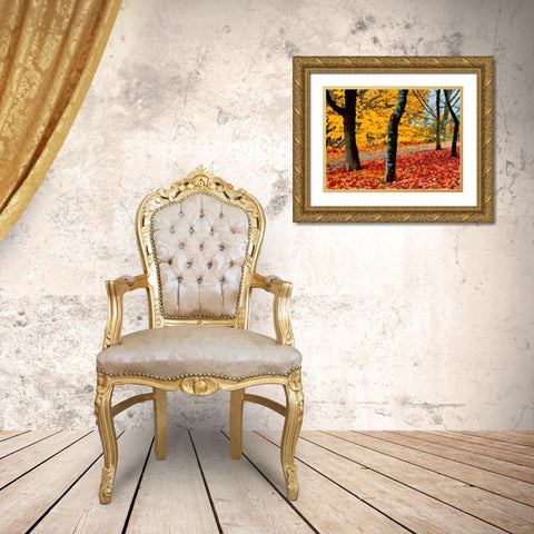 Autumn has Come Gold Ornate Wood Framed Art Print with Double Matting by Medeiros, Celito